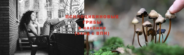 ECSTASY Кинешма