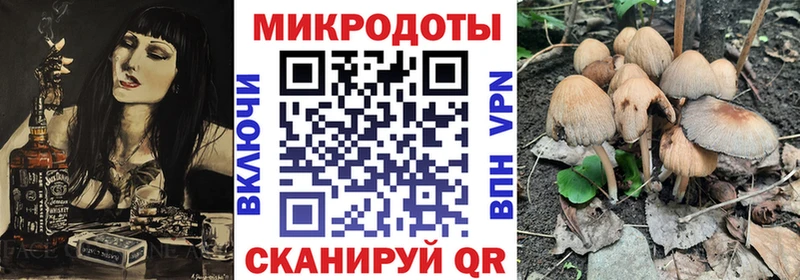Галлюциногенные грибы Cubensis  Киренск 