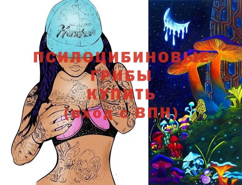 Псилоцибиновые грибы Magic Shrooms  мега маркетплейс  Киренск 